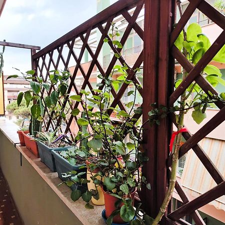 Apartament Euforbia House Lido di Ostia Zewnętrze zdjęcie