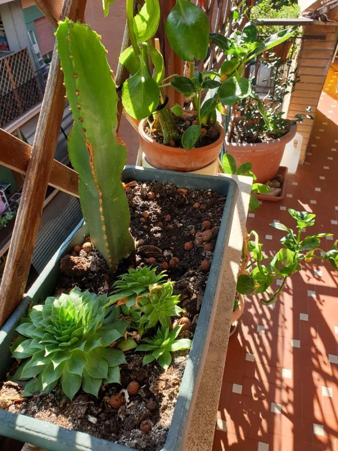 Apartament Euforbia House Lido di Ostia Zewnętrze zdjęcie