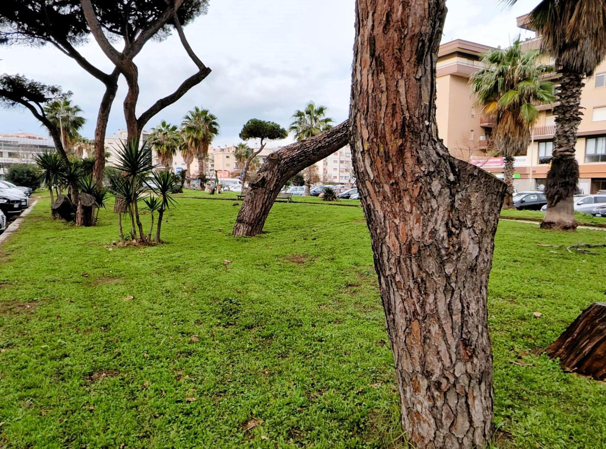 Apartament Euforbia House Lido di Ostia Zewnętrze zdjęcie